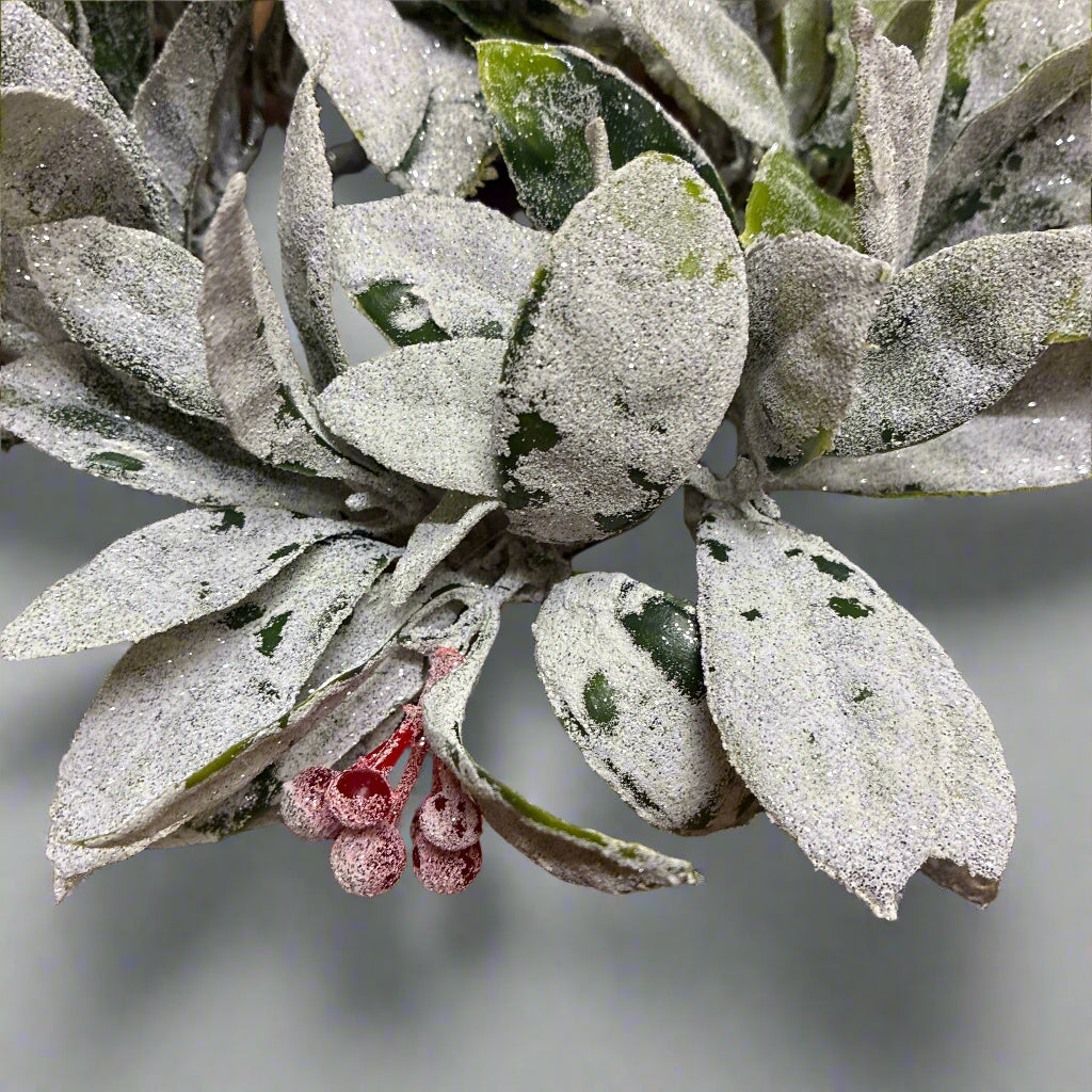 Frosted plant with berries on a wooden surface