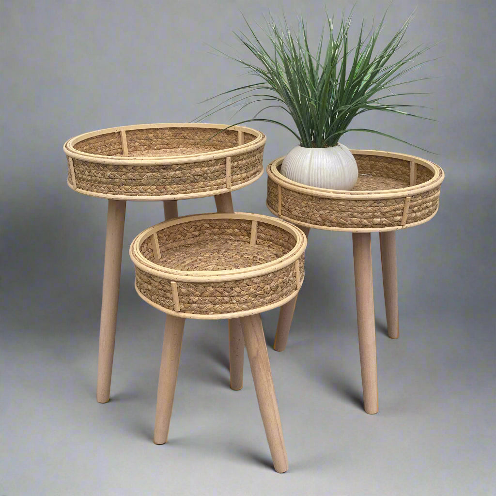 Water hyacinth plant stands. 3 sizes available. Shown with plant.