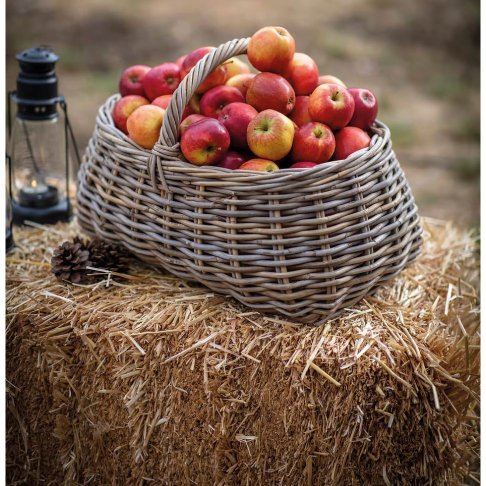 Basket full of apples.
