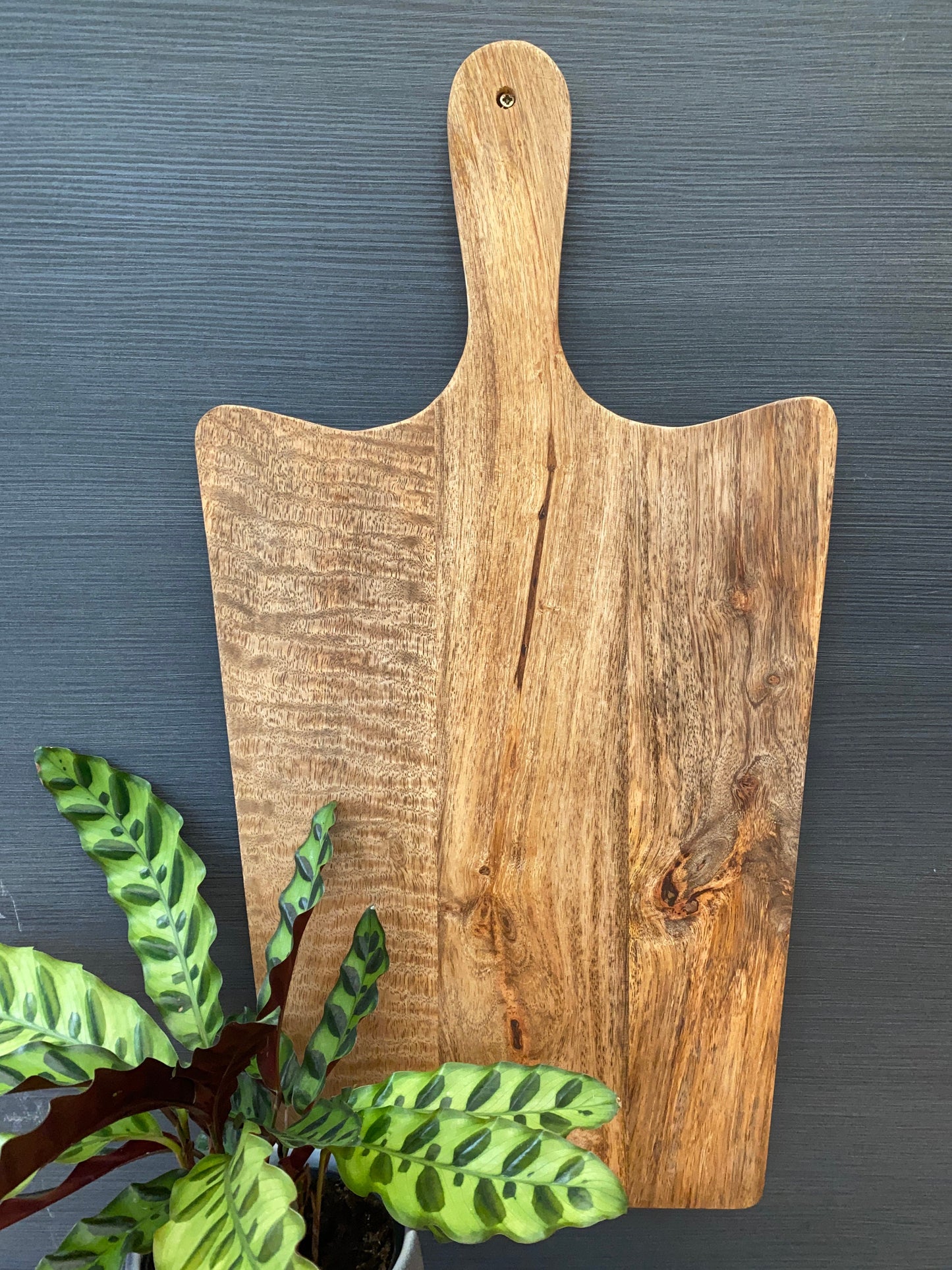 Solid Mango wood food serving paddle boards - Available in 3 sizes. Single board with plant.