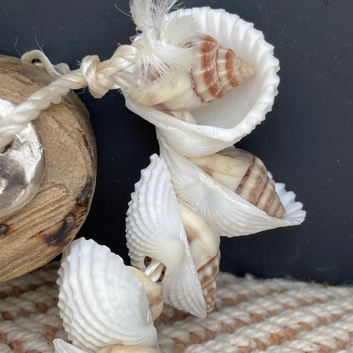 Set of 2 decorative hanging Mango Wood anchors. Close up of shells.