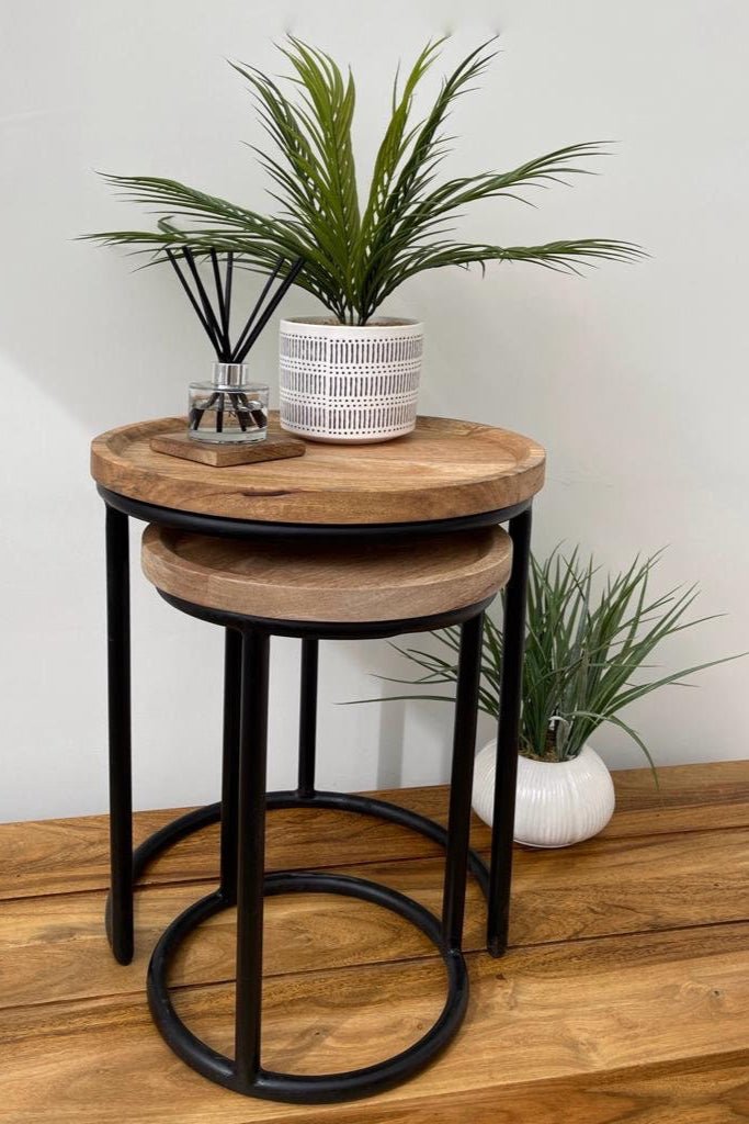 Nest of 2 Industrial style slim round side tables with plant and reed diffuser.