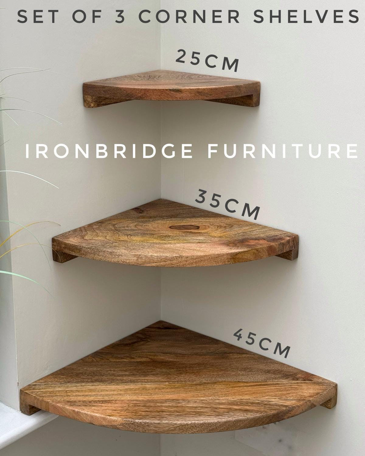 Set of 3 Mango wood rounded corner wall shelves. With dimensions.