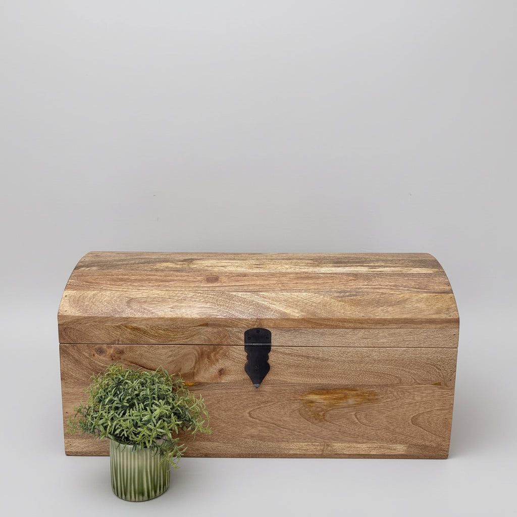 Dome topped treasure chests - Mango wood - 4 sizes available. Single chest shown with a plant.