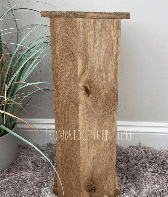 MANT-521 Parquet slim cabinet with 1 door in Mango wood back view
