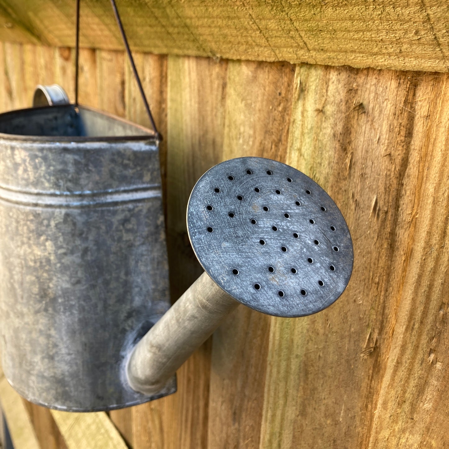 Zinc wall hanging watering can planter. Close up of spout.