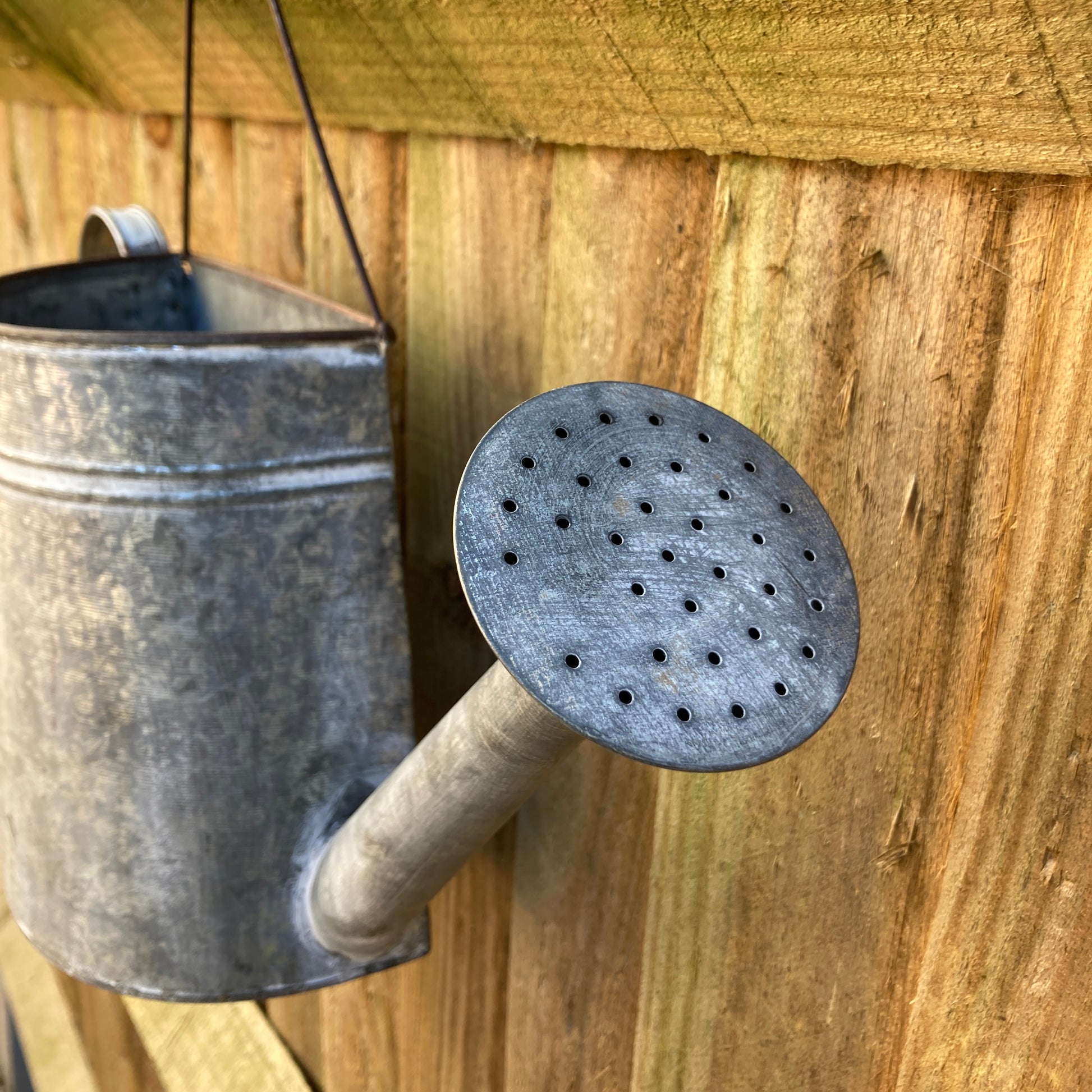 Zinc wall hanging watering can planter. Close up of spout.