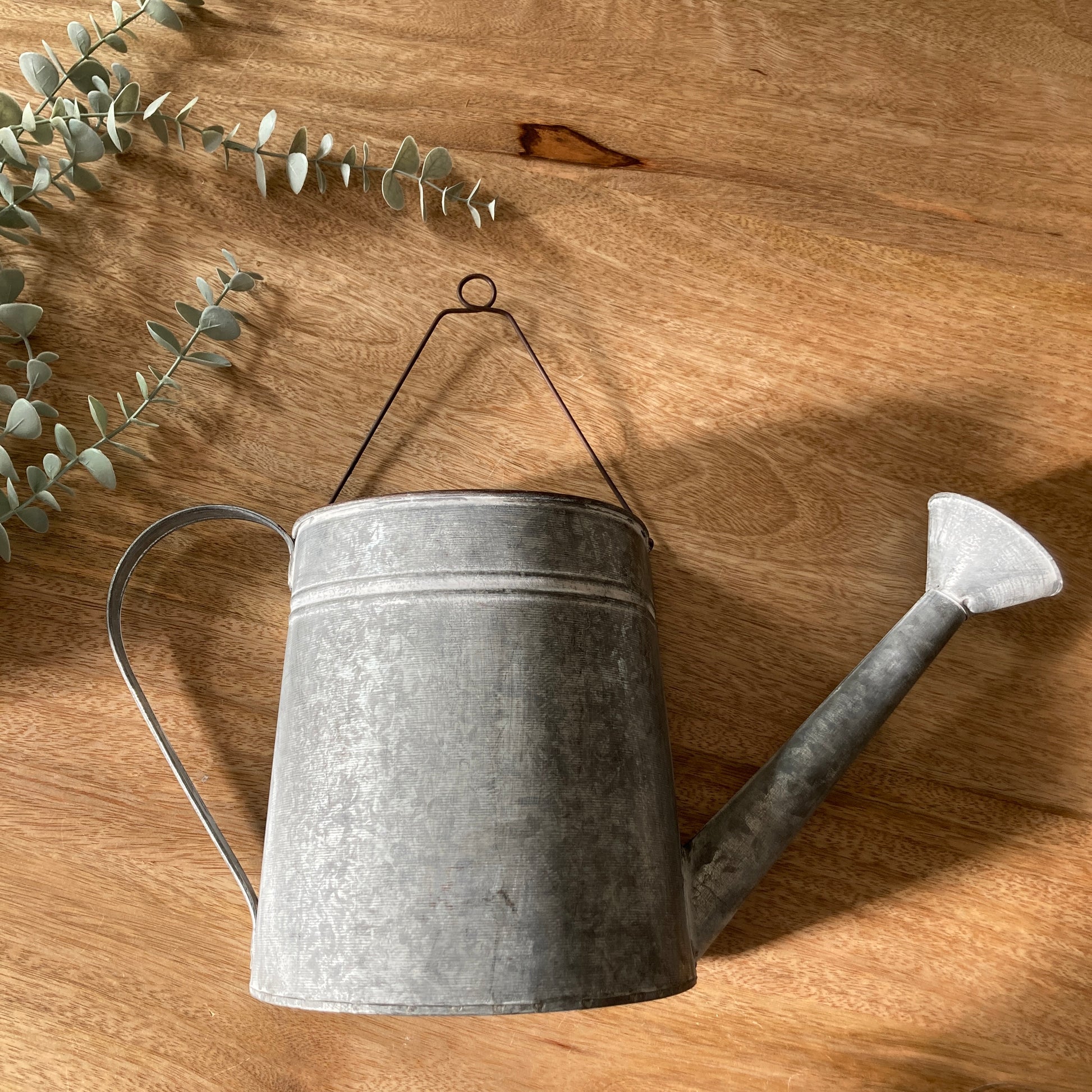 Zinc wall hanging watering can planter- laying on table.