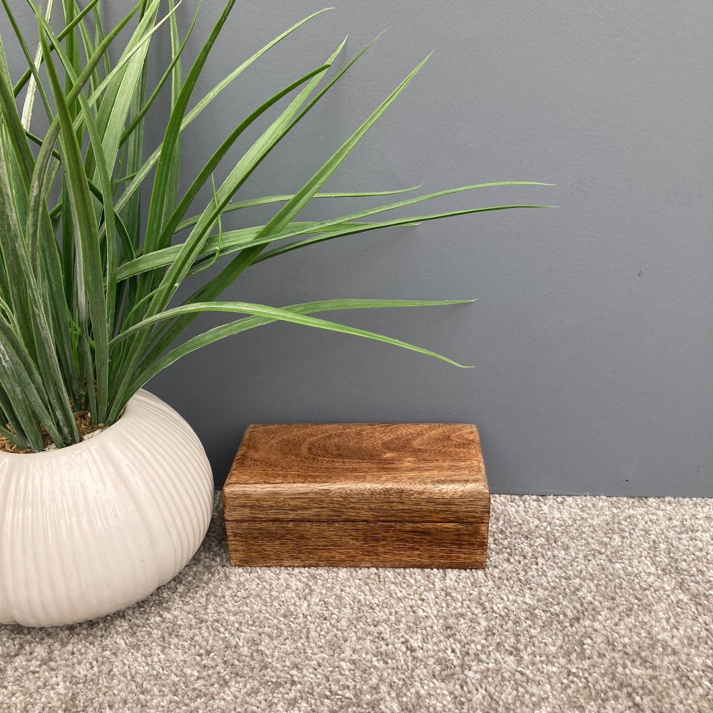 Dark Mango wood rectangular lidded boxes. Small box next to plant.