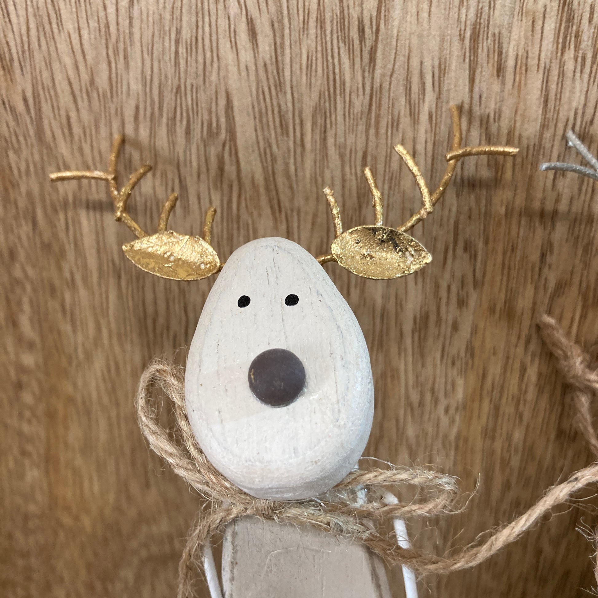 Close up of reindeer with golden ears