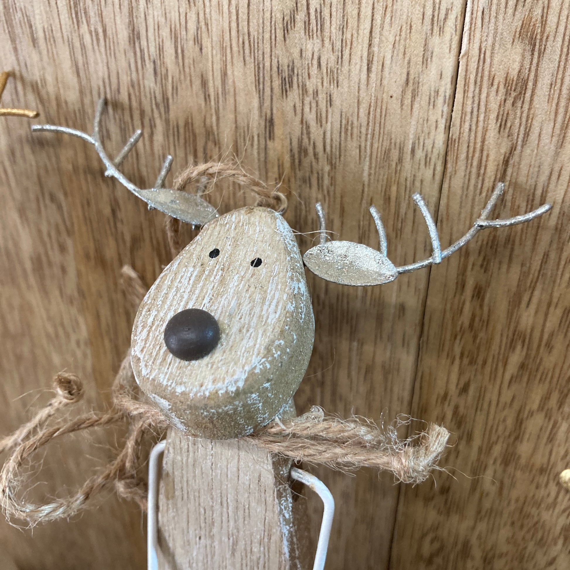 Close up of reindeer with white ears