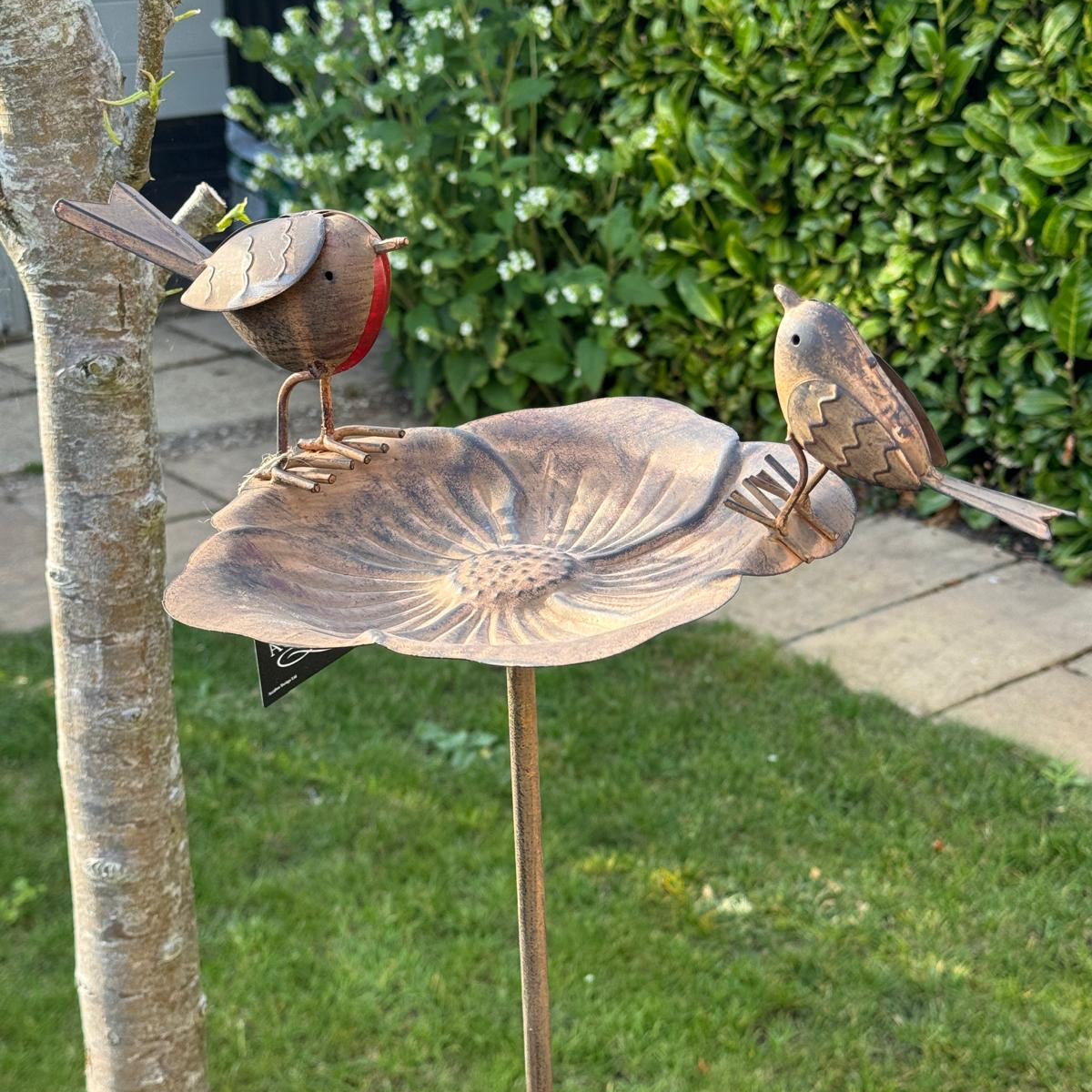 Bird bath with 2 robins on stake in the garden.