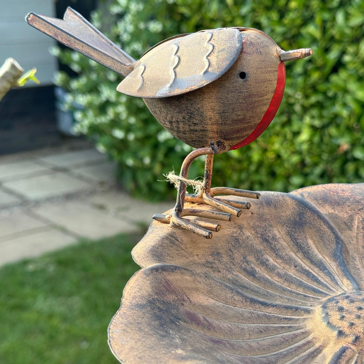 Bird bath with 2 robins on stake. Close up of one robin. 