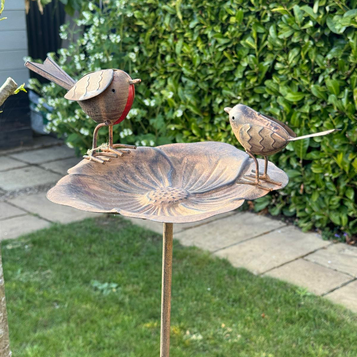 Bird bath with 2 robins on stake shown in the garden. 