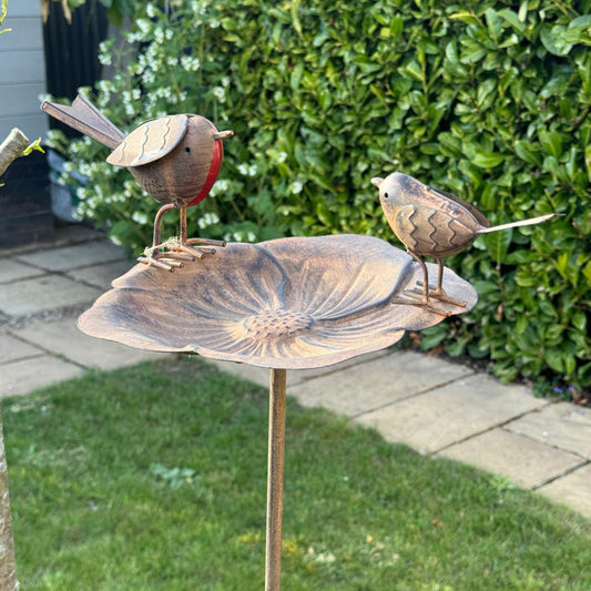 Bird bath with 2 robins on stake shown in the garden. 