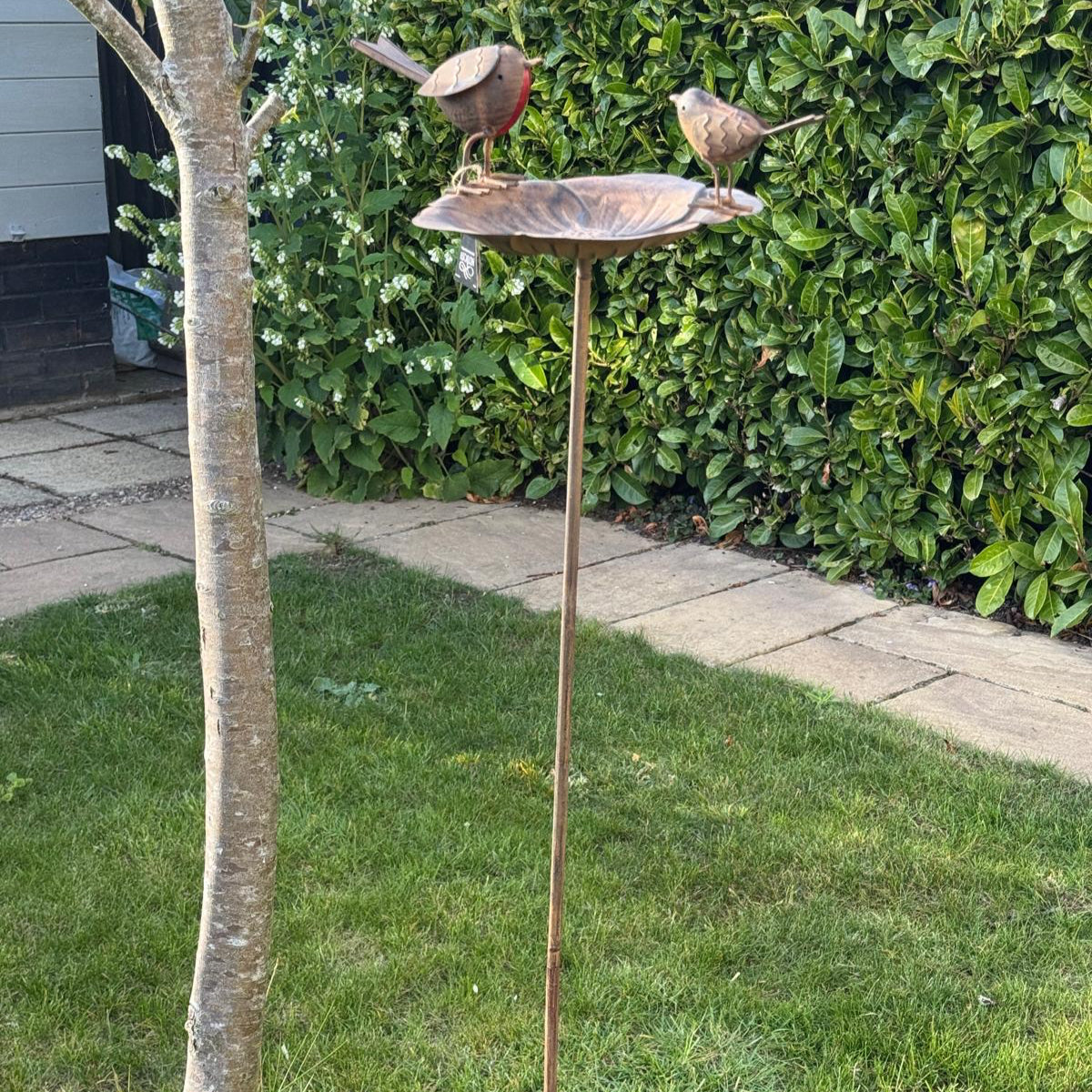 Bird bath with 2 robins on stake, shown in the garden next to a tree.