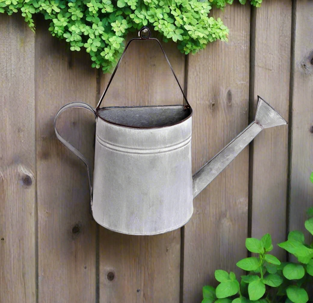 Zinc wall hanging watering can planter - Hanging from plant.