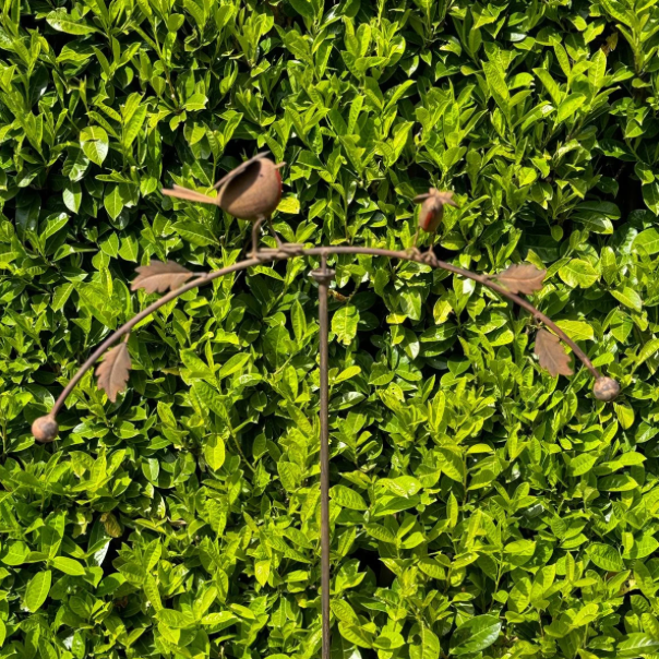 Robin balancer wind spinner (mum and baby robin). Shown in the garden.