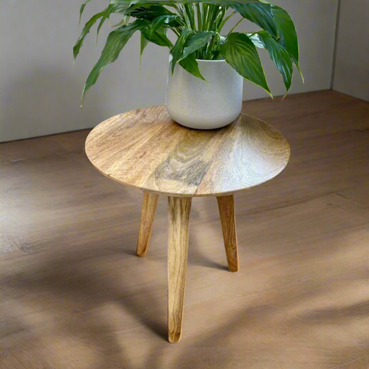 Wooden side table with a plant on it in a living room setting