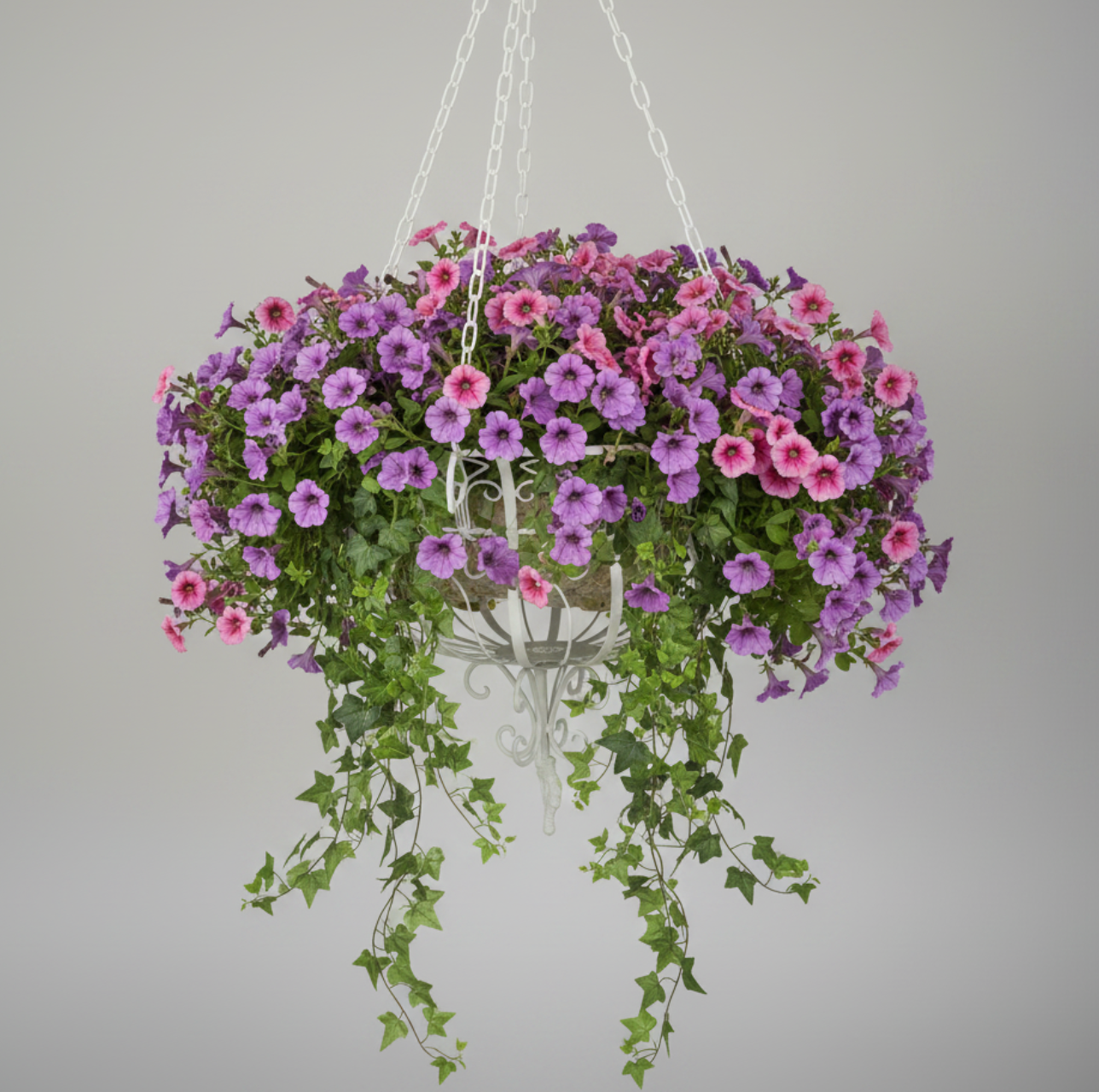 Hanging basket with pink and purple flowers on a gray background