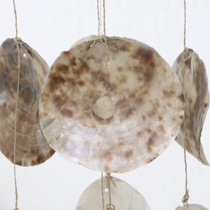 Natural seashell wind chimes - 2 variations. Close up of shell.