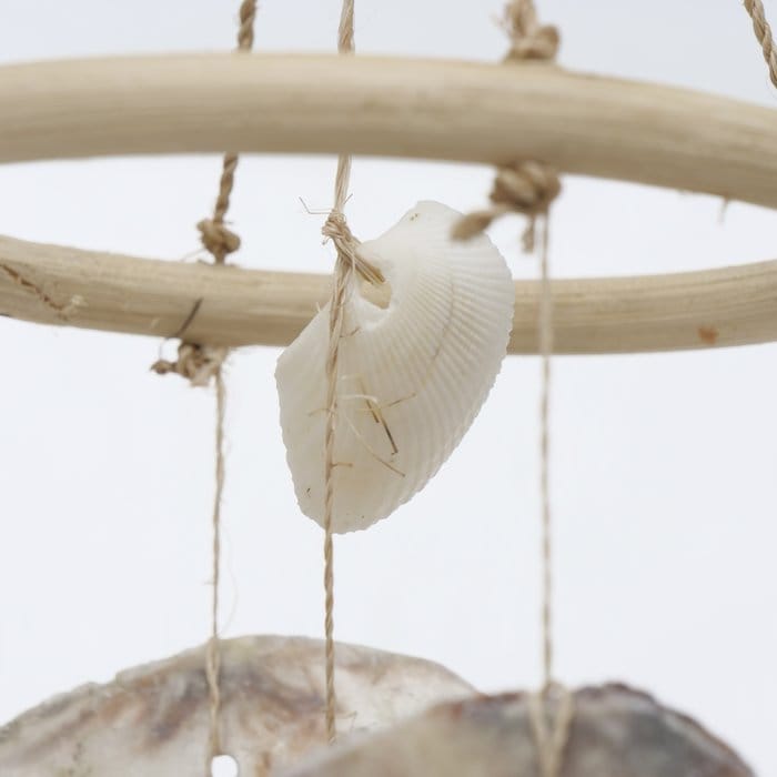 Natural seashell wind chimes - 2 variations. Close up of top.