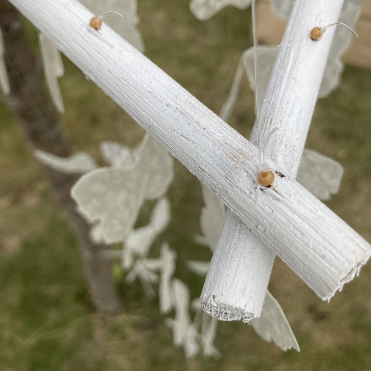 Natural Capiz shell wind chime Butterfly design - white. Close up of join. 